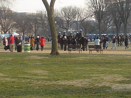 MountedCops