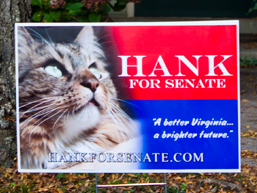 Hank Sign